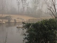 -习家池