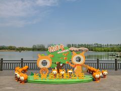 -上海长兴岛郊野公园