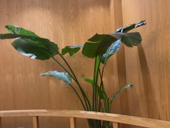 -一轩饺子馆(丽都店)