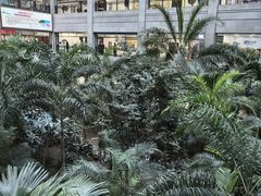 -黑龙江中医药大学附属第一医院