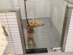 -阳澄湖费尔蒙酒店