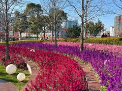 -北外滩滨江绿地