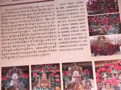 -塔尔寺菩提树
