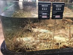 -海鲜e族(马王堆店)