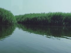 -白洋淀风景区