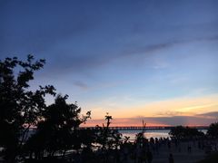 -宝安西湾红树林湿地公园