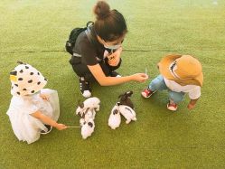 -萌宠亲子动物乐园(槐房万达店)