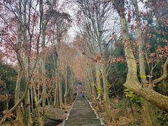 -窦圌山风景区