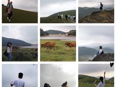 -大姆山草场