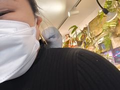 -吉丁鸟咖·异宠·寄养
