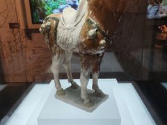 -衢州市博物馆