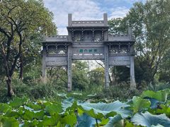 -西溪国家湿地公园