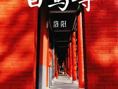 -洛阳白马寺