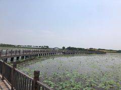 -天津东丽湖风景区