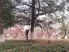 -白塘生态植物园