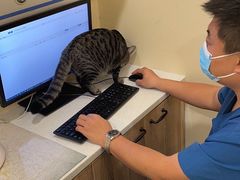 -萌兽医馆·犬猫专科·眼科中心·宠物医院(朝阳门分院)