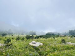 -白草畔自然风景区