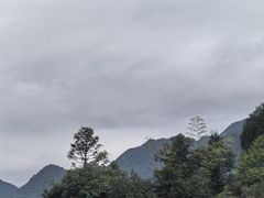 -三清山锦琛山庄