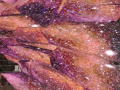 -海底捞火锅(老城根店)