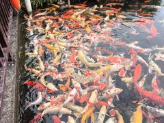 -宁波杭州湾国家湿地公园