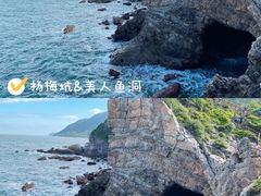 -杨梅坑
