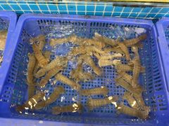 -鹰龙海畔度假酒店(咸祥店)
