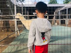 -迪茵湖田家舍生态农场