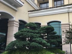 -上海东方佘山翰悦阁酒店·Vie全日制餐厅