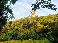 -深圳国际园林花卉博览园