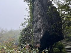 -山王坪喀斯特国家生态公园