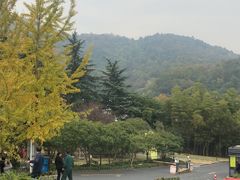 -杭州海华满陇度假酒店