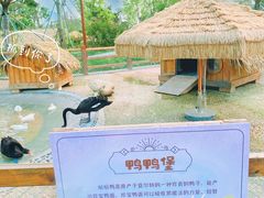-珠海海泉湾神秘岛亲子乐园
