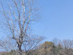 -长广溪湿地公园