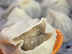 鲜肉小笼-大龙汤包