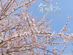 -三里河公园