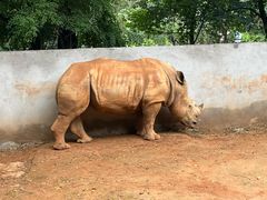 -昆明动物园