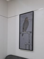 -AIST爱思特医疗美容医院