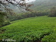 -敬亭山风景名胜区