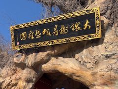 -大槐树寻根祭祖园