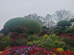 -南宁南湖公园