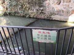 -超山青莲寺