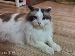 -白兔子密室(长寿路店)