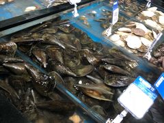 -盒马鲜生(皇庭广场店)