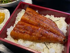 -琴寿司居酒屋(软件园店)