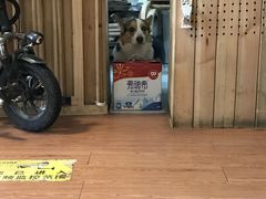 -维卡食舍(户部山店)