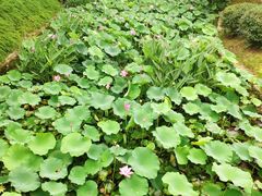 -镇江市南山风景名胜区竹林景区