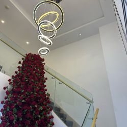 -春田皮肤管理中心品牌旗舰店