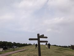 -春花秋色城市公园