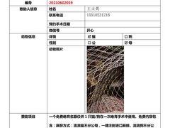 -萌兽医馆·犬猫专科·眼科中心·宠物医院(朝阳门分院)