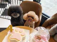 -Oh My Dog宠物沙龙(伊珊娜皮毛护理店)